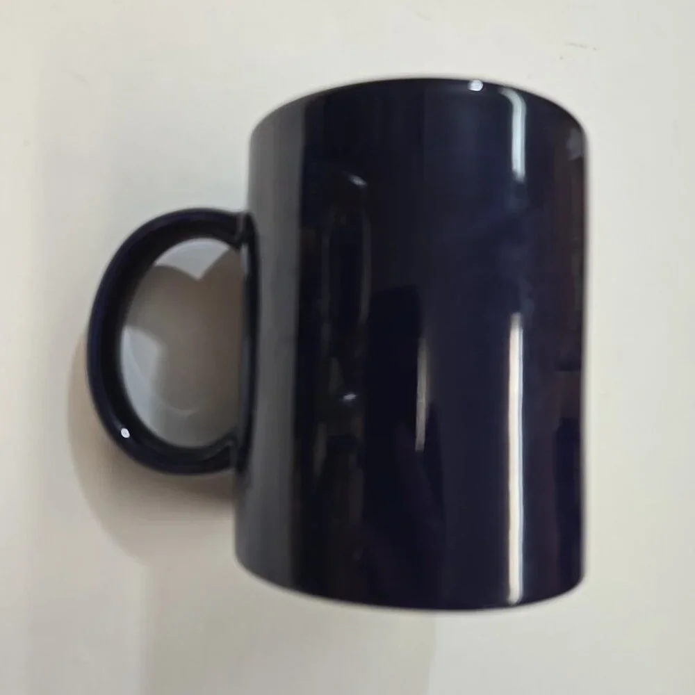 Vintage 1997 Boy Scout Mug Wilderness Survival Spring Camporee Kaposia Blue BSA